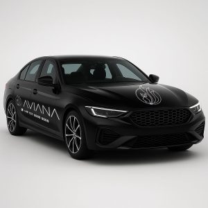 AVIANA-DESIGN-Auto-Werbung-seitliche-Ansicht